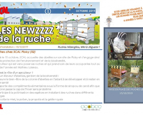 La ruche - Newsletter n°1 (31/10/2019)