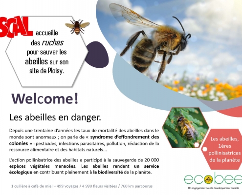 SCAL accueille des ruches ! (15/10/2019)