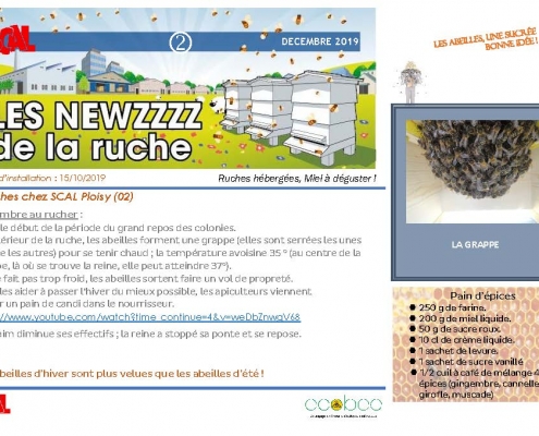 La ruche - Newsletter n°2 (17/12/2019)